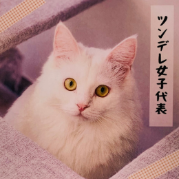 こゆき(Koyuki)の画像