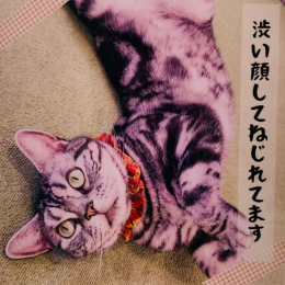 銀 (Gin)の画像