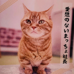 藤真(Fujima)の画像