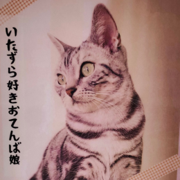 牧(Maki)の画像