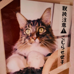 純(Jun)の画像